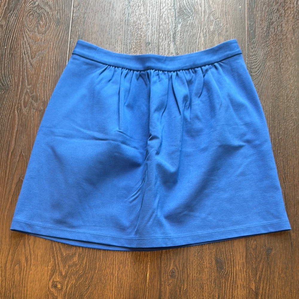J. Crew Blue Women's Skirt